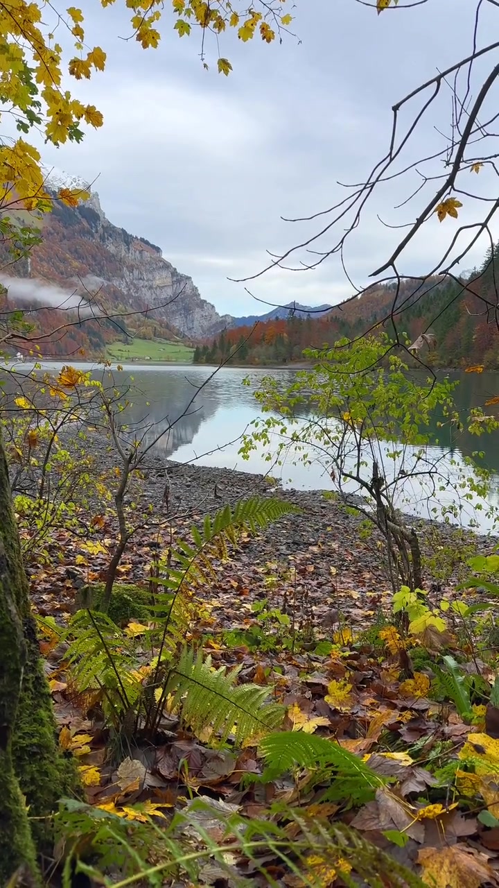 Pemandangan alam musim gugur Danau Klöntal Klöntalersee di pegunungan Alpen Swiss, Swiss, video vertikal.