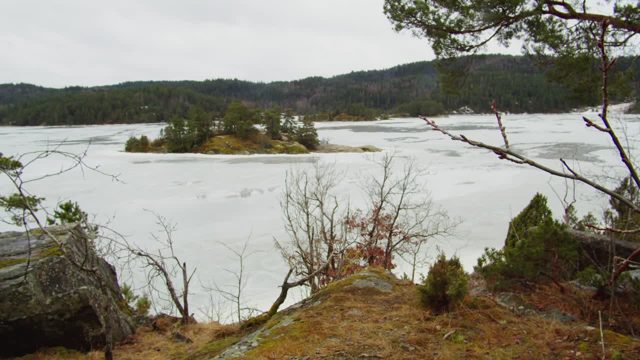Dronekuvaus: Ulosveto Vollsfjordenin vuonomaisemasta Norjassa puiden läpi, pilvinen luontonäkymä.
