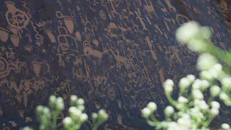 close up shot of native american petroglyph wall