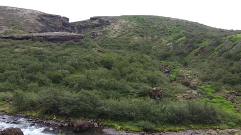 Wild-nature-with-bushes-and-mountain,-flying-through-cave-towards-river