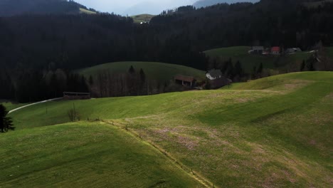 Fliegen-über-Violette-Safranfelder-Mit-Isolierten-Häusern,-Eingebettet-Zwischen-Den-Sanften-Grünen-Hügeln,-Wobei-Schatten-Teile-Der-Szene-Einhüllen