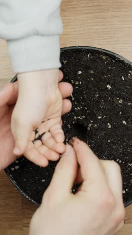 hands of an adult and a child carefully planting small seeds into dark soil within a black pot, intimate close up