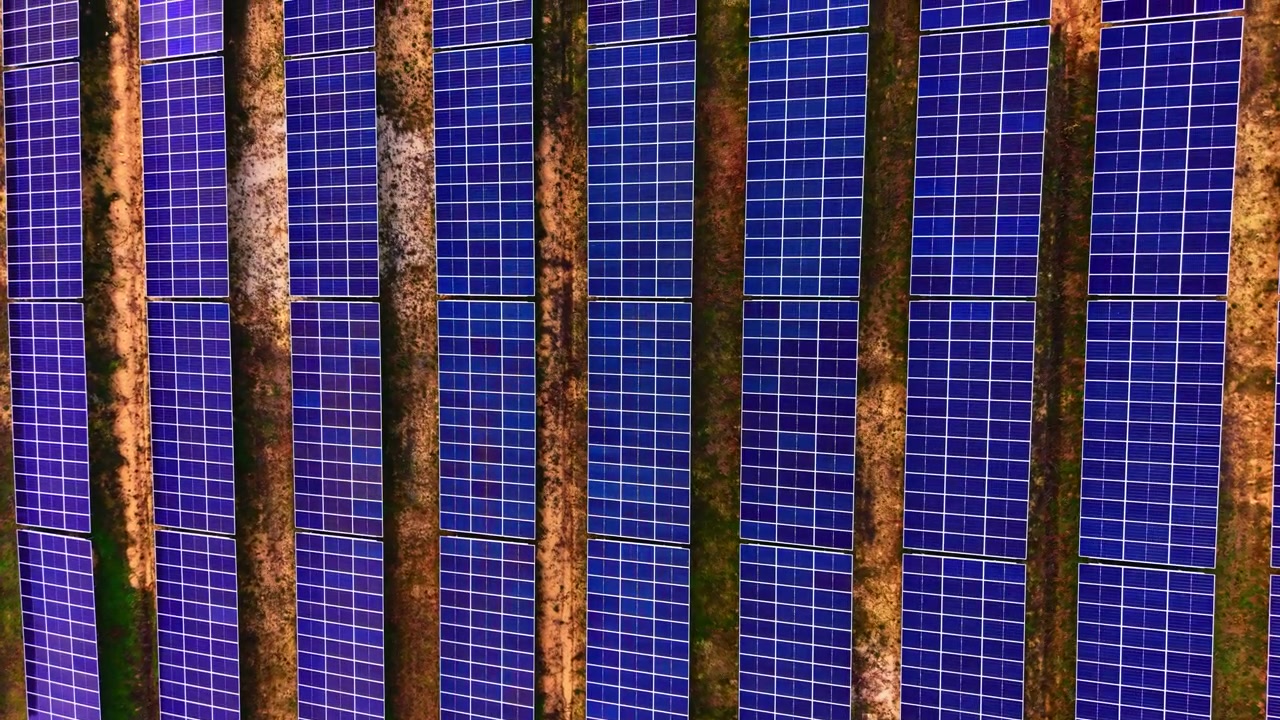 Fitta griglia di pannelli solari che copre terreni agricoli. Una vista ravvicinata dall'alto mostra file strettamente allineate separate da strette strisce di terra ed erba