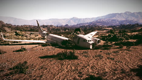 plane crash site in remote area surrounded by mountains and vegetation