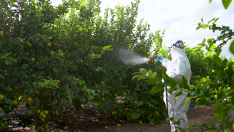 farmer in protective clothes spray pesticides