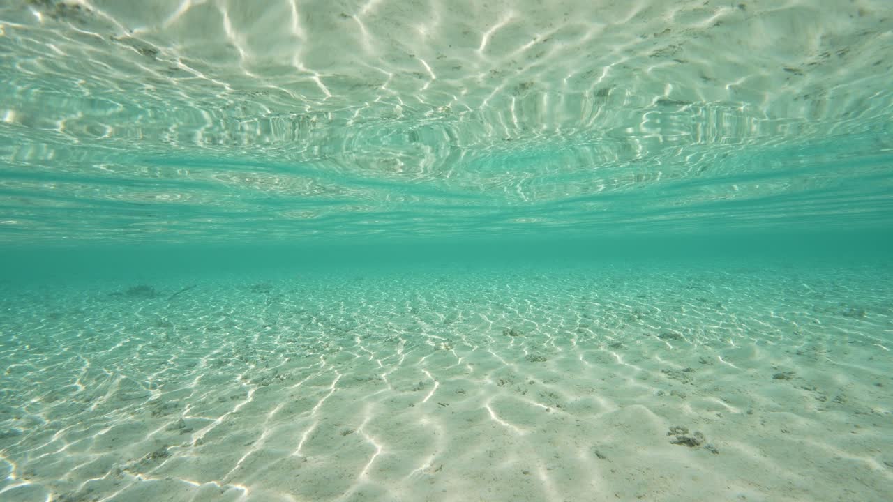 Split shot, camera emerges, half above, half below water of a tropical beach in Fakarva, second biggest atoll in French Polynesia in the south pacific ocean in Slow motion
