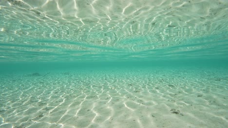 toma dividida, emerge la cámara, la mitad por encima, la mitad por debajo del agua de una playa tropical en fakarva, el segundo atolón más grande de la polinesia francesa en el océano pacífico sur en cámara lenta