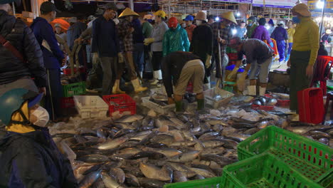 fisherman trading fish in largest fishing hub tho quang very early morning, vietnam