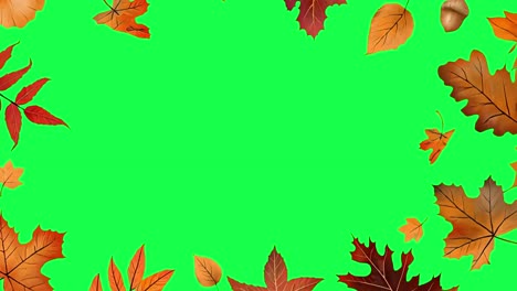 autumn leaves frame animation, transparent 4k video, green screen