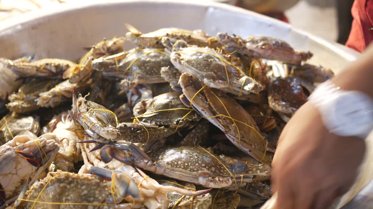 primer plano de la comida fresca apilada