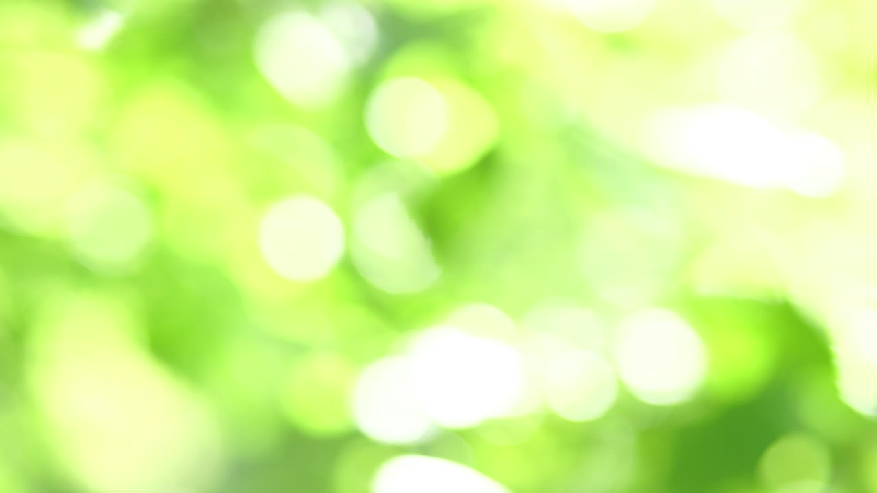 나뭇잎의 아름다운 흐릿한 질감