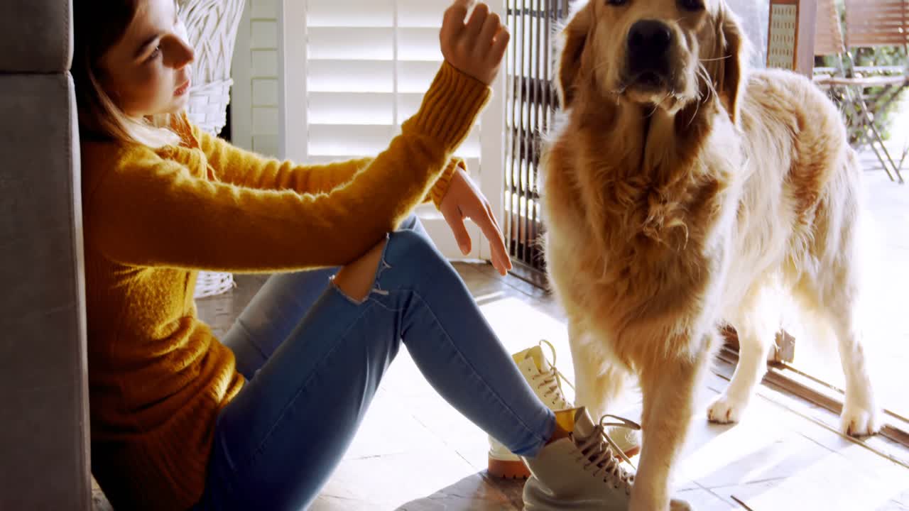 아름다운 여자가 개를  ⁇ 고 있다 4k