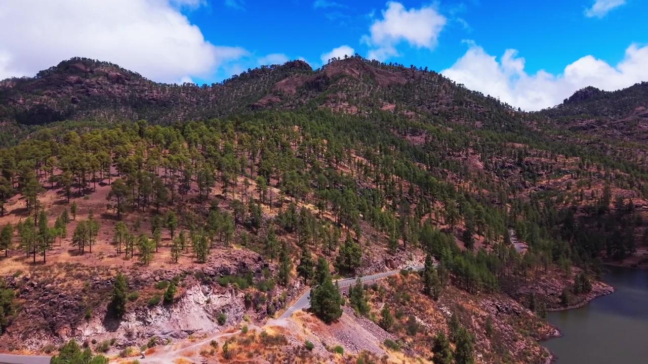 Vista aerea di colline di pineta e un bacino idrico con strada tortuosa in un paesaggio vulcanico