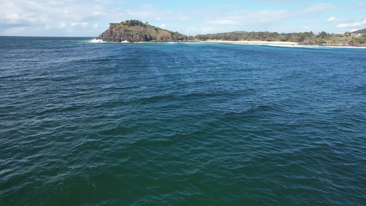 Delfini a Cabarita Beach, Australia - Aerea