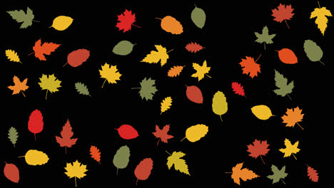 cartoon style animation with autumnal leaves appearing in stop motion with alpha channel included