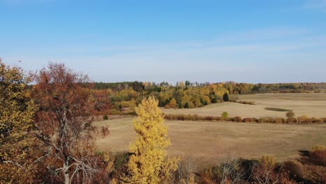 Otoño-Dorado-Aéreo-Letonia-Paisaje-Báltico-Rural