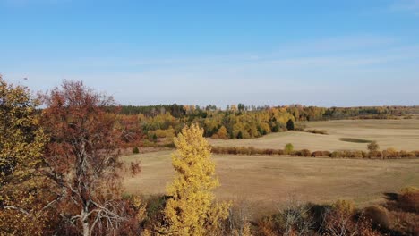 otoño dorado aéreo letonia paisaje báltico rural