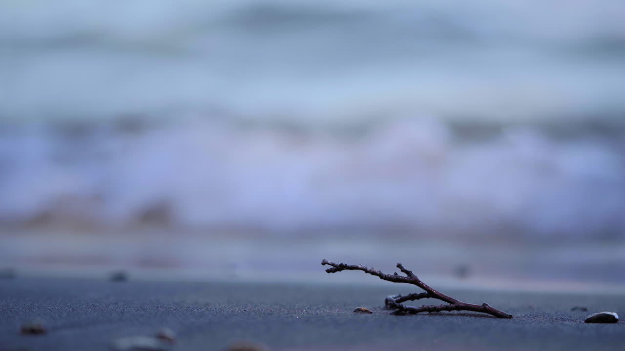 Twilight hues over beach with focus on solitary twig against soft waves, evoking calm