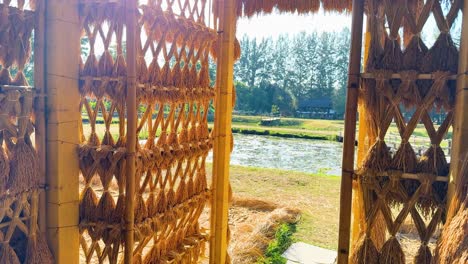 estructura de bambú con vistas a los campos de arroz a la luz del sol