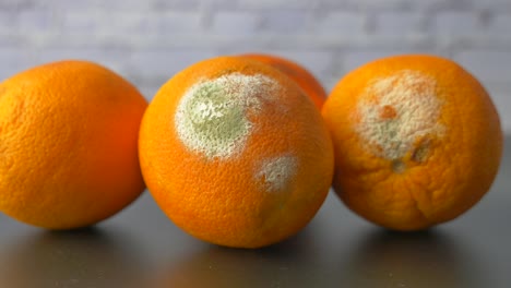 naranjas con moho