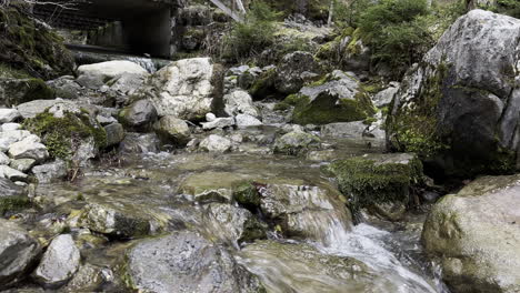 close-up of a stream flowing peacefully among the stones