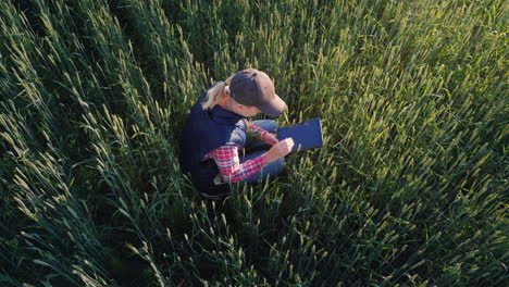 a female farmer is working in a field of still green wheat uses a tablet