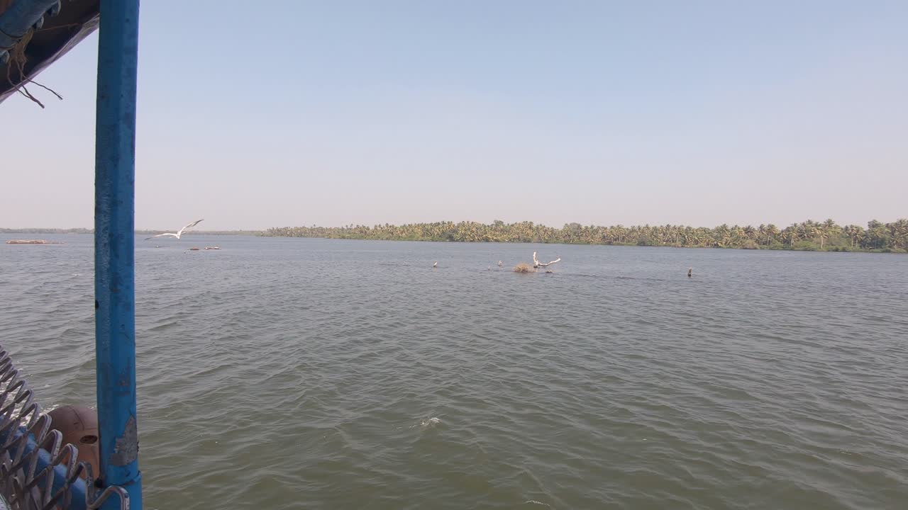 barco navegando a través de los islotes del río seguido de gaviotas, alappuzha