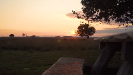 sunset at the picnic table