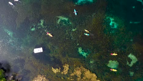 rising above the crystal clear rainbow river while kayaks and boats pass by