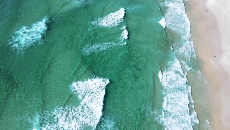 aerial drone scene of ocean waves on paradisiacal beach with turquoise blue ocean and emerald green summer florianópolis praia do santinho