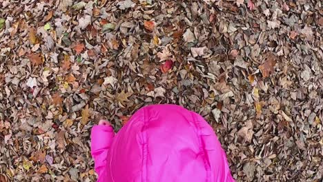 Vista-De-Arriba-Hacia-Abajo-De-Una-Niña-Con-Chaqueta-Rosa-Con-Capucha-Corriendo-Sobre-Una-Alfombra-De-Hojas-Caídas-A-Cámara-Lenta