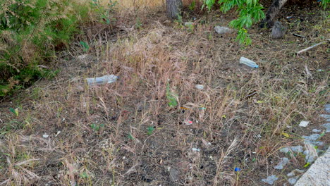garbage thrown into nature, a huge environmental impact