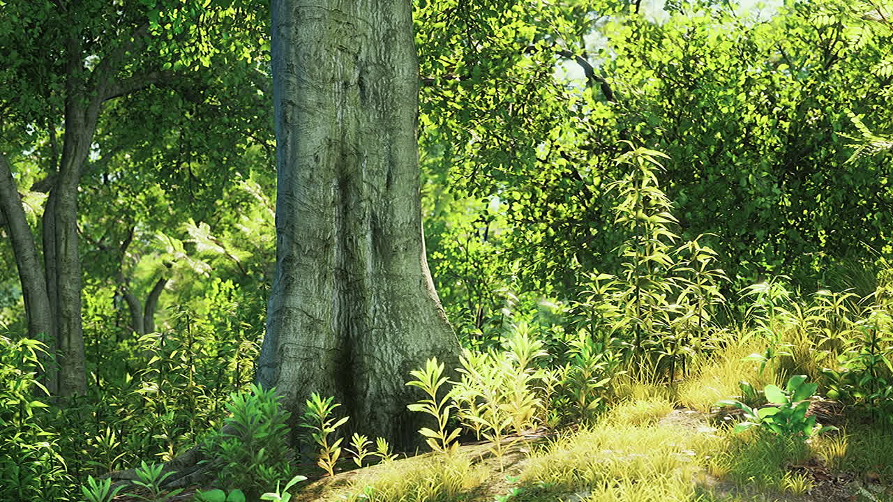 scenic view of the park with green grass field in city