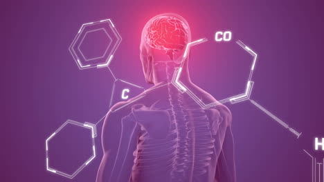 animación de procesamiento de datos y fórmula química sobre humano digital