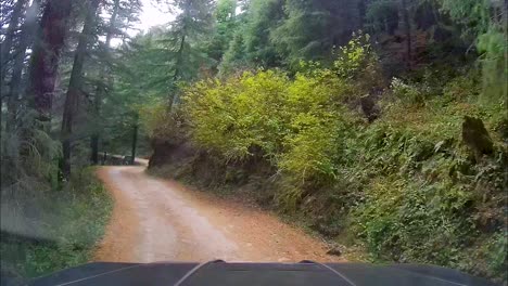 view from dash cam mounted on front of suv, off roading through narrow and bumpy terrain of wildlife sanctuary in mountains