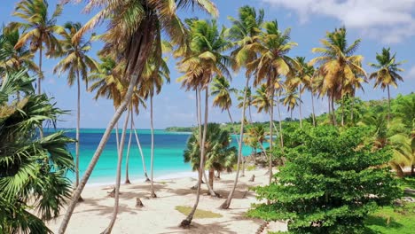 Playa-Colorada-beach-on-windy-and-sunny-day,-Las-Galeras-in-Samana-peninsula,-Dominican-Republic
