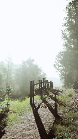 misty forest path with wooden bridge