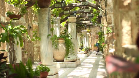 a white stone corridor of a botanical garden