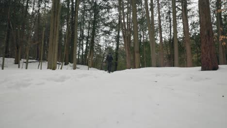 Statische-Aufnahme-Eines-Wanderers,-Der-Mit-Rucksack-Durch-Den-Schneebedeckten-Winterwald-Geht