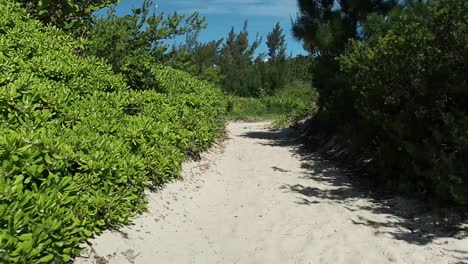 Strandähnliche-Pfade,-Die-Mit-Den-Stränden-Der-Südküste-Von-Bermuda-Verbunden-Sind