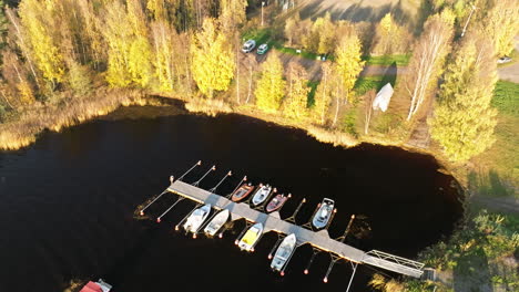 stunning view of bright autumnal trees near moored boats during sunset in sweden