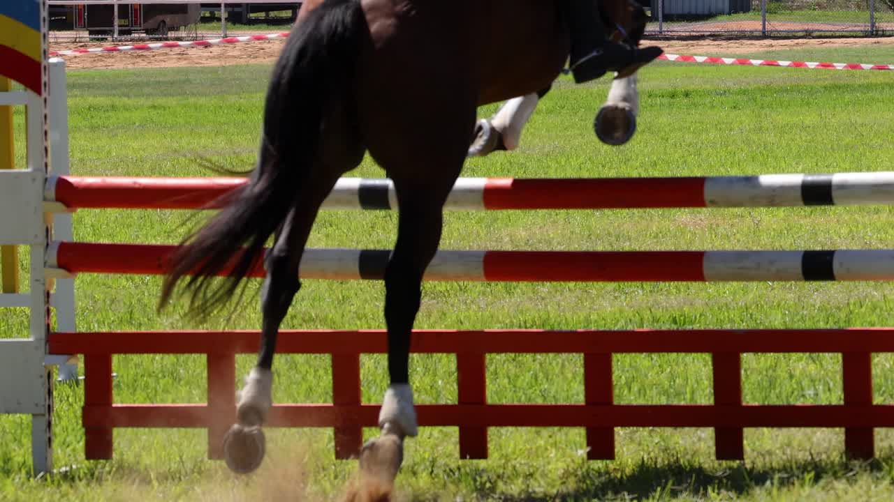 말 과 승마자 가 다채로운 장애물 을 뛰어넘는 것
