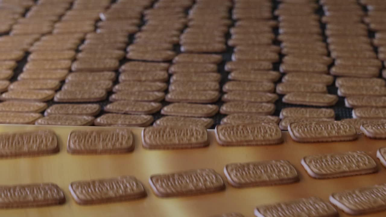 conveyor with sweet cookies at a confectionery factory