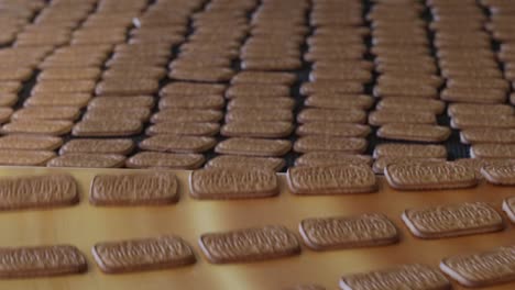 conveyor with sweet cookies at a confectionery factory