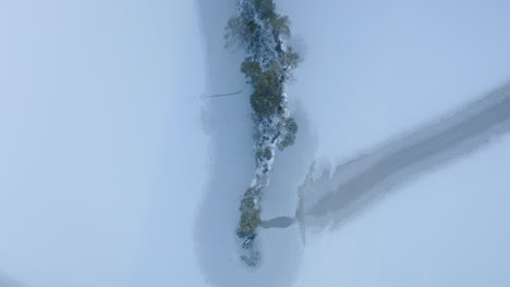 Luftaufnahme-Von-Oben-Nach-Unten-über-Eine-Kleine-Waldinsel,-Die-Von-Einem-Zugefrorenen-See-Mit-Natürlichen-Linienmustern-Auf-Eis-Umgeben-Ist