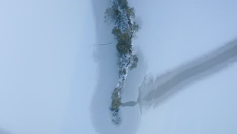 vista aérea de arriba hacia abajo sobre un pequeño islote forestal rodeado por un lago congelado con patrones de líneas naturales en el hielo