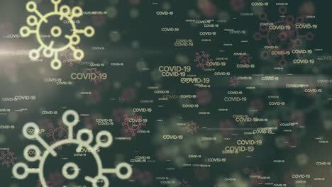 animación de bacterias sobre la información de covid-19 escrita en mayúsculas blancas en un fondo verde