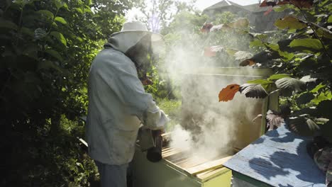 beekeeper fimugate beehive with bee smoker