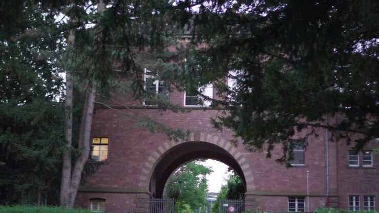 Movimento orizzontale lento dell'ingresso di un edificio in mattoni scuri dietro pini in un parco.