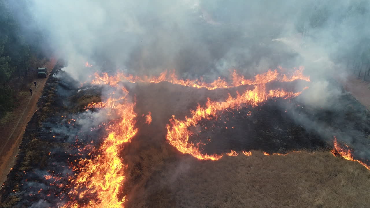 Drone aereo, fuoco e fumo, uomini che avviano un incendio controllato nella foresta per prevenire incendi indesiderati